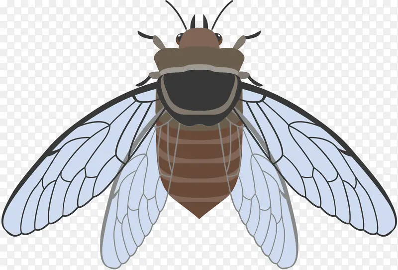 �۷� ���� ������-������