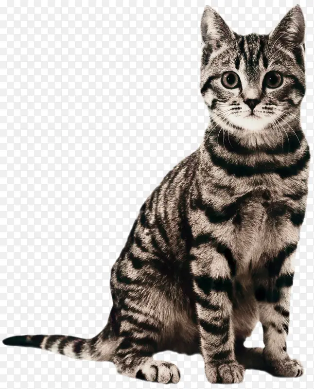 è ������ �������ض�ţȮ-������