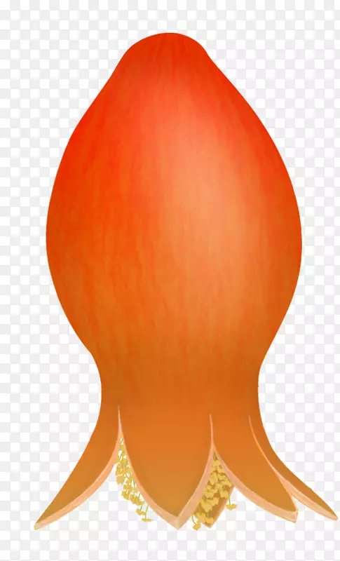 ʯ��-������