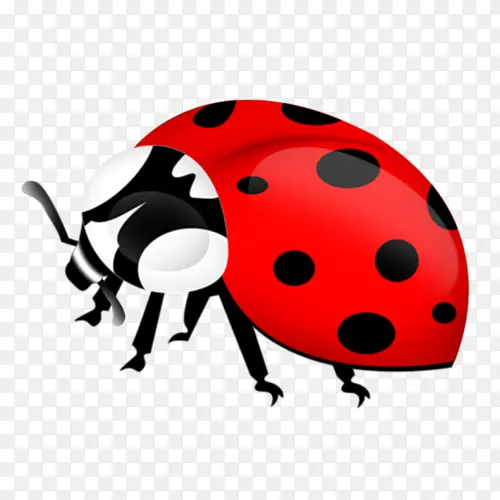 ư��׳� ���� ����-������