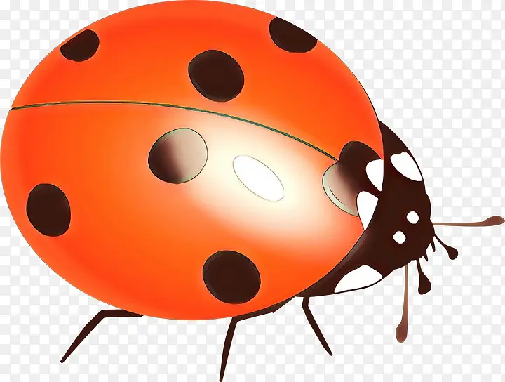 ư��׳� ���� �滭-������