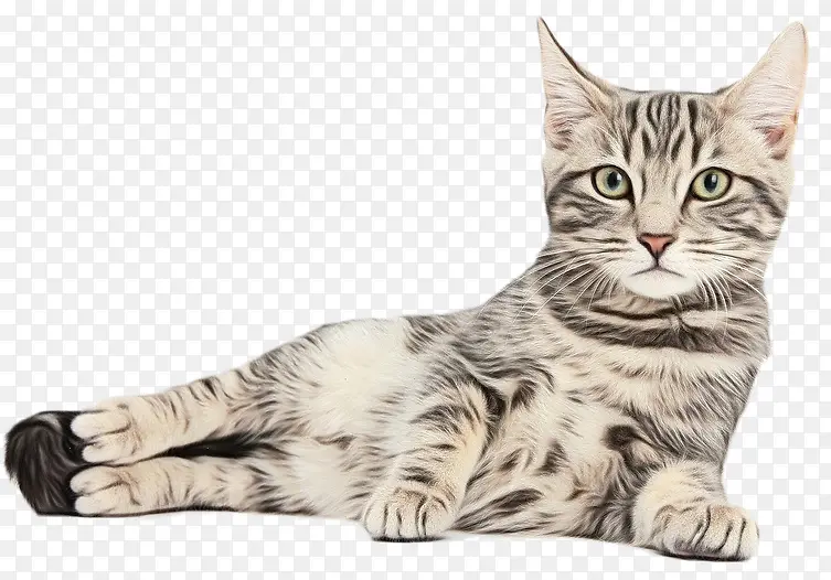 Сè ���� �����-������