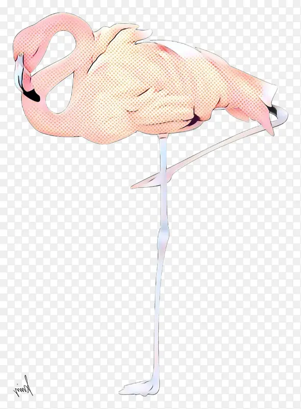 ��ָ ��� �������-������