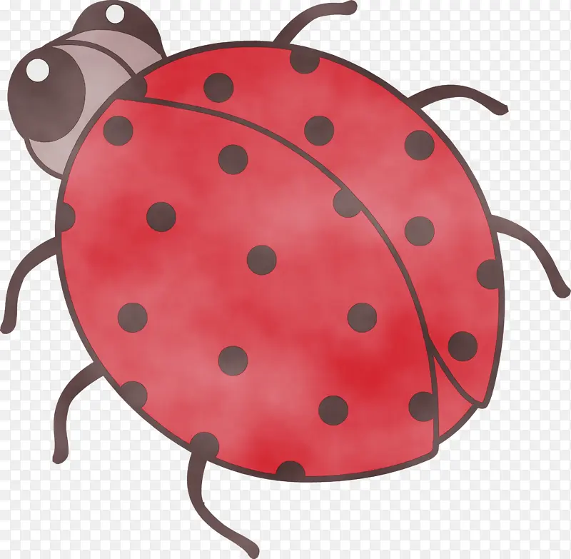 Ůʿ�� ���� Ӳ��Ǯ��-������