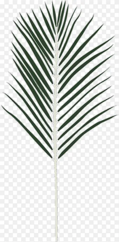 ����� �� Ҷ-������