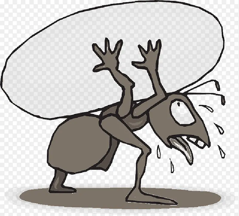 ���� ���� ����-������