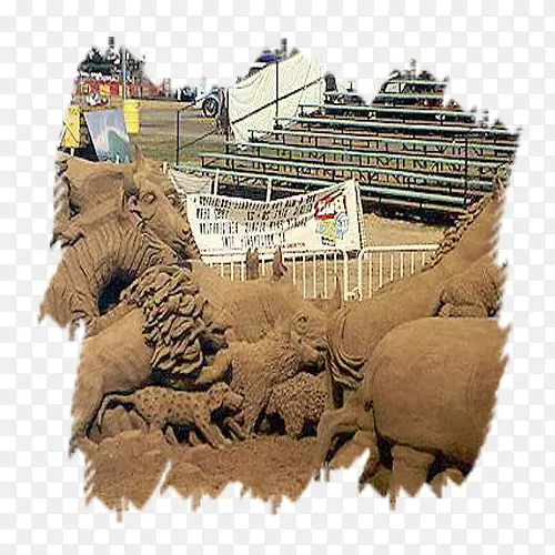 ���� ��ɫ-������