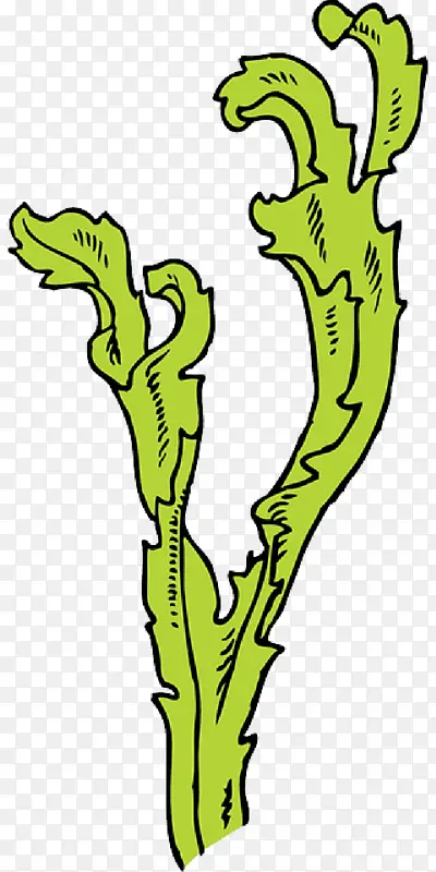 ���庣�庣����庣��ֲ�ﾥ-������