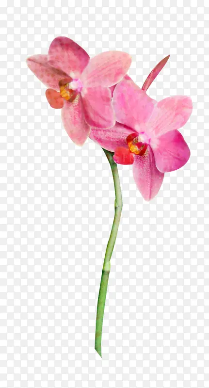 �ɶ��� ���� ֲ��-������