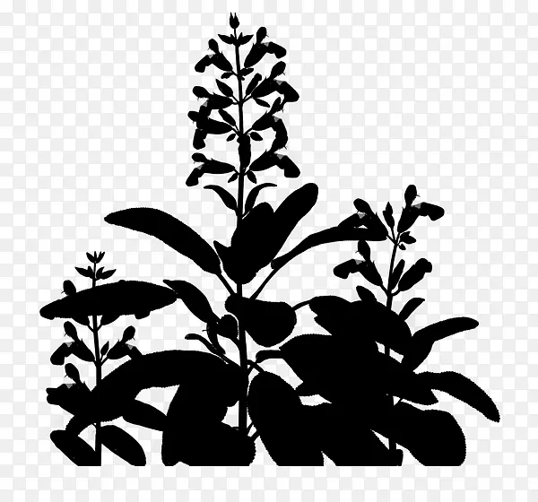 ��⿷�Χ ������β�� ֲ��-������