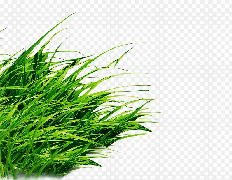 �滭 �� ��ɫ-������