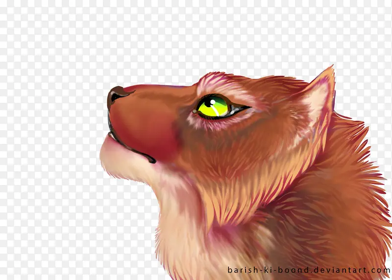 ���� è ����-������