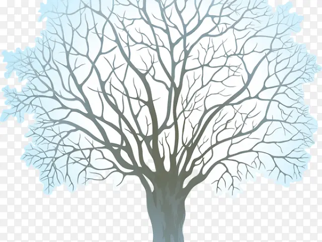 �� ����-������