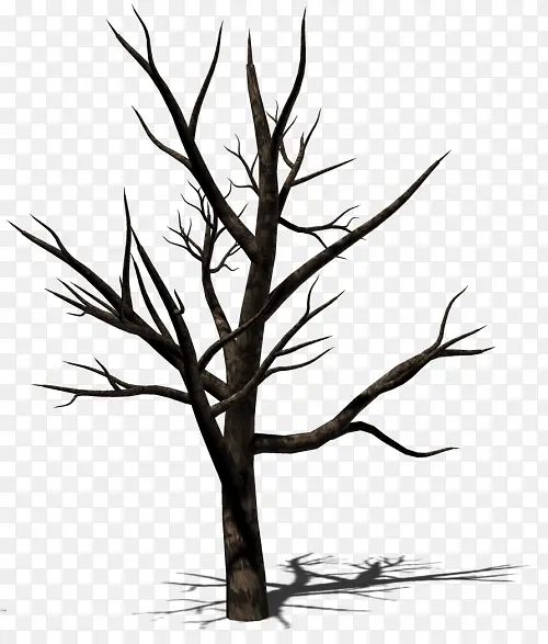 ��֦ ��ľ ֲ��-������