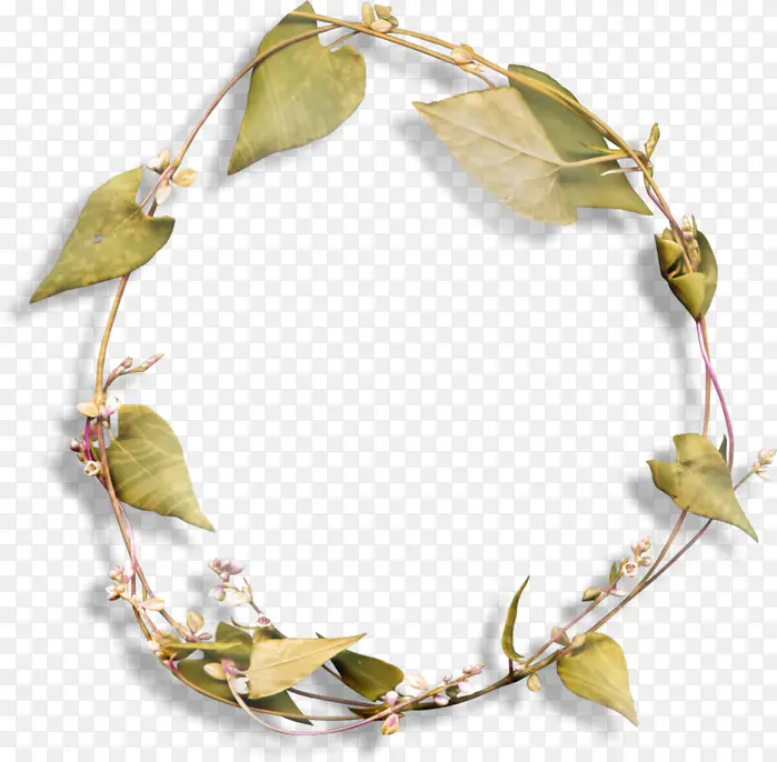 ��֦ ��Ϣ ħ��-������