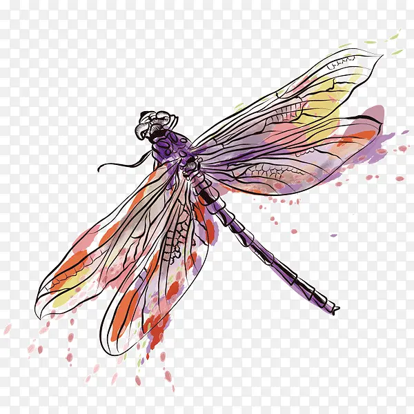 ���� ��ʱ���� ˮ�ʻ�-������