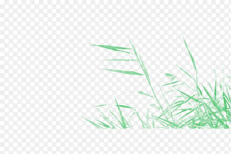 �� �� ��Ʒ-������