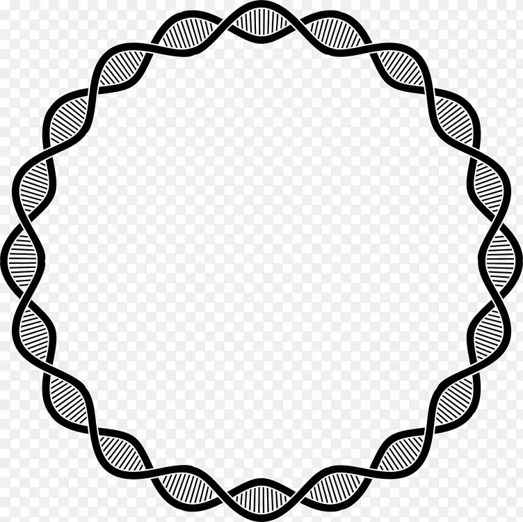 ���� ��ֽ ����-������