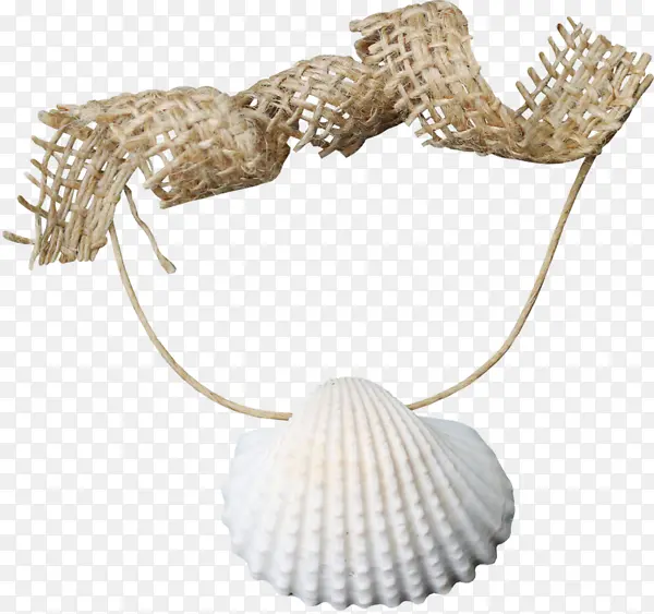 ���� ��̲ ���嶯���-������