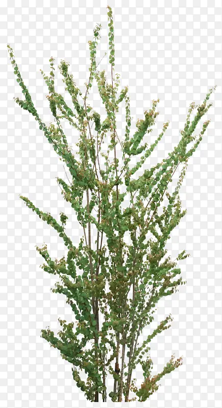 �� ���� ��֦-������