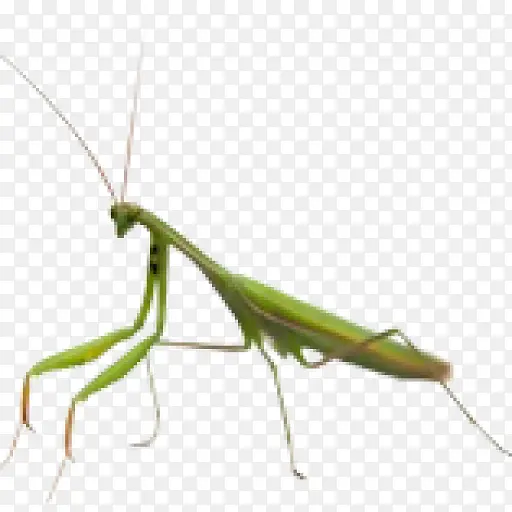 ���б� ���� Ӣ��-������