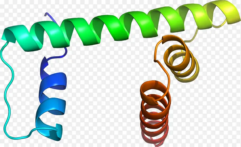 �����鱦 ���� �鱦-������