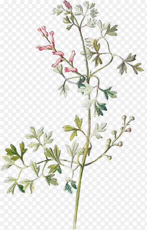 ˮ�ʻ� �ͻ� ����-������