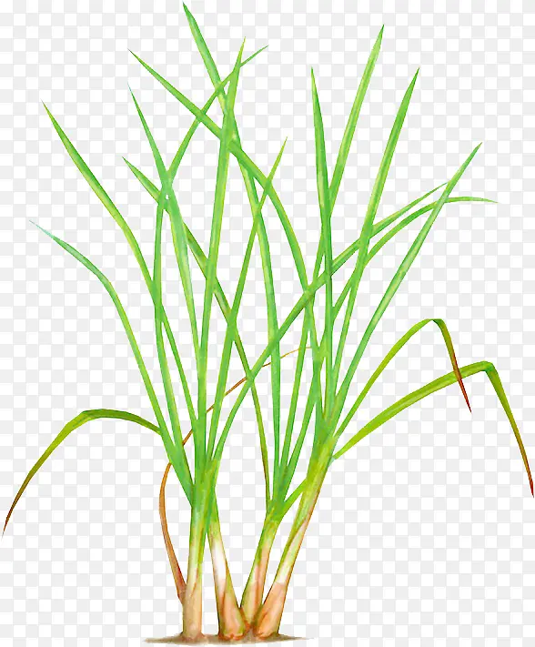 ̩������ ���� ����-������