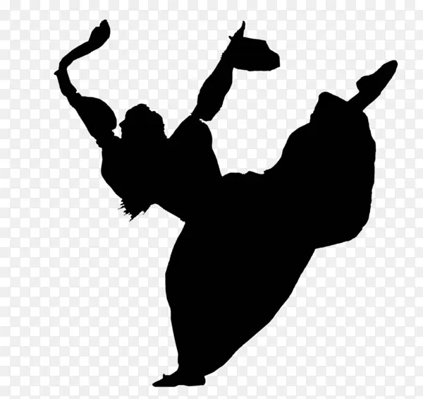 ��ָ ���� ��Ӱ-������