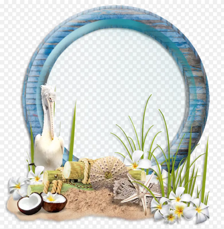 �ɹ���ƷҬ�� ��� ����-������