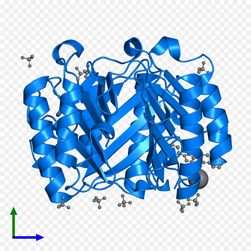 �� �� ��-������