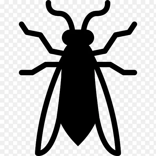 ��ͼ ���� ��ɫ-������