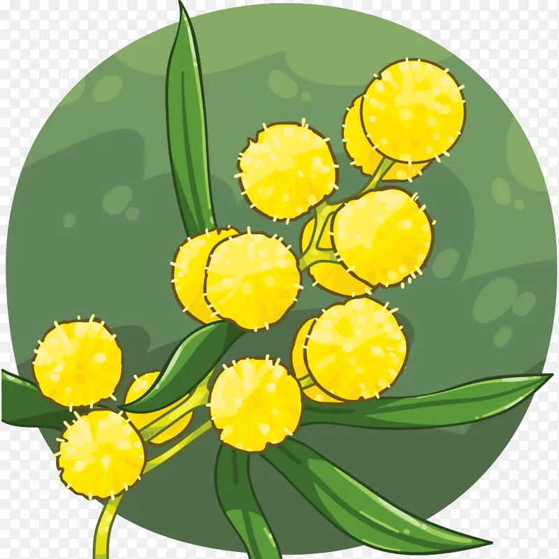 �Ĵ����� ����צ ����-������