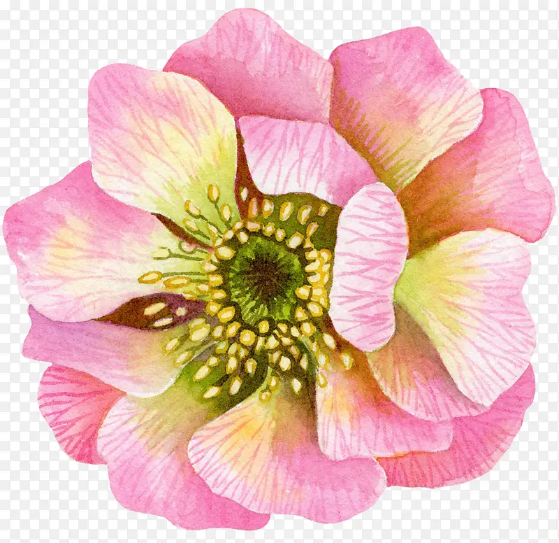 ���� ���� �滭-������