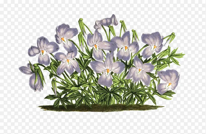 �� ������ ��Ƶ-������