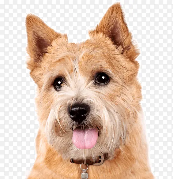 ŵ���湣 ������ ŵ���˹�-������