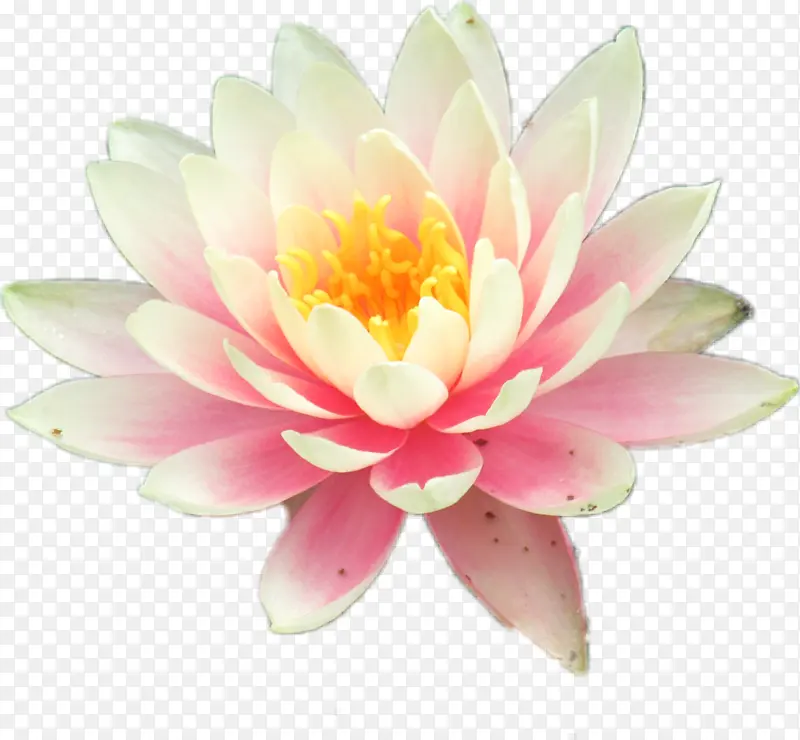 ˯�� �� ����-������