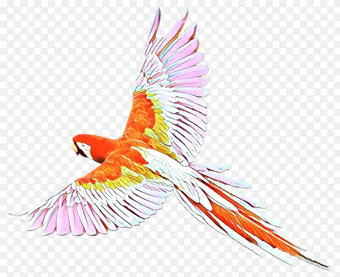 ���������ë๳���β������������-������