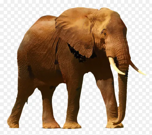 ���� �滭 �鼮-������