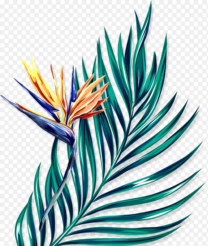 Ҷ�� ������ ����-������