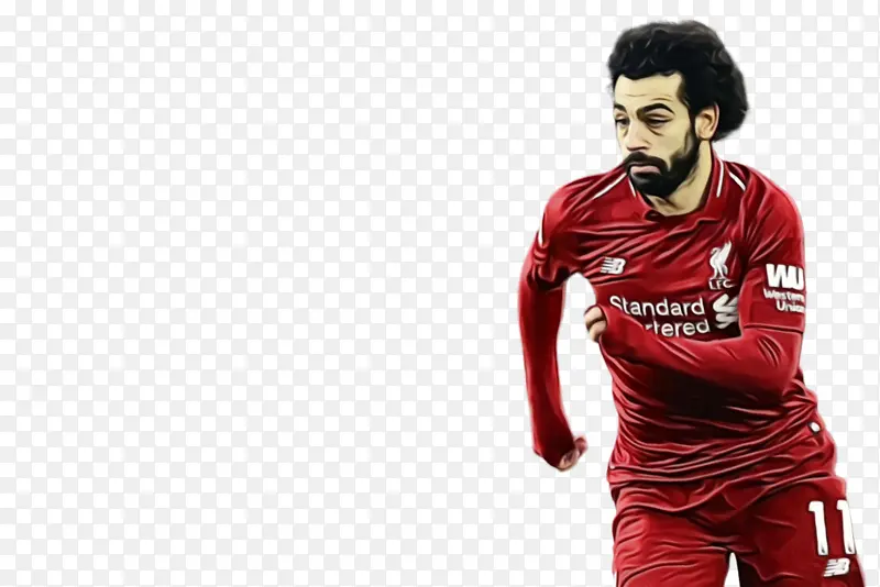 ��ɫ ���� ����-������