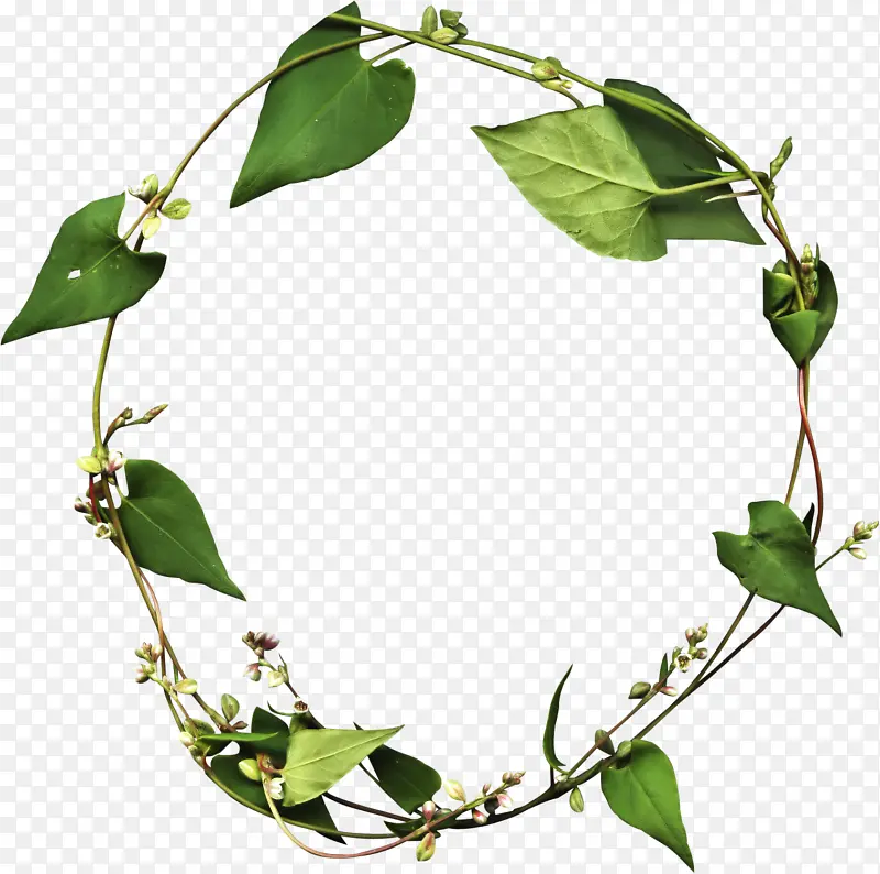 ˮ�ʻ� �滭 ��Ҷ-������