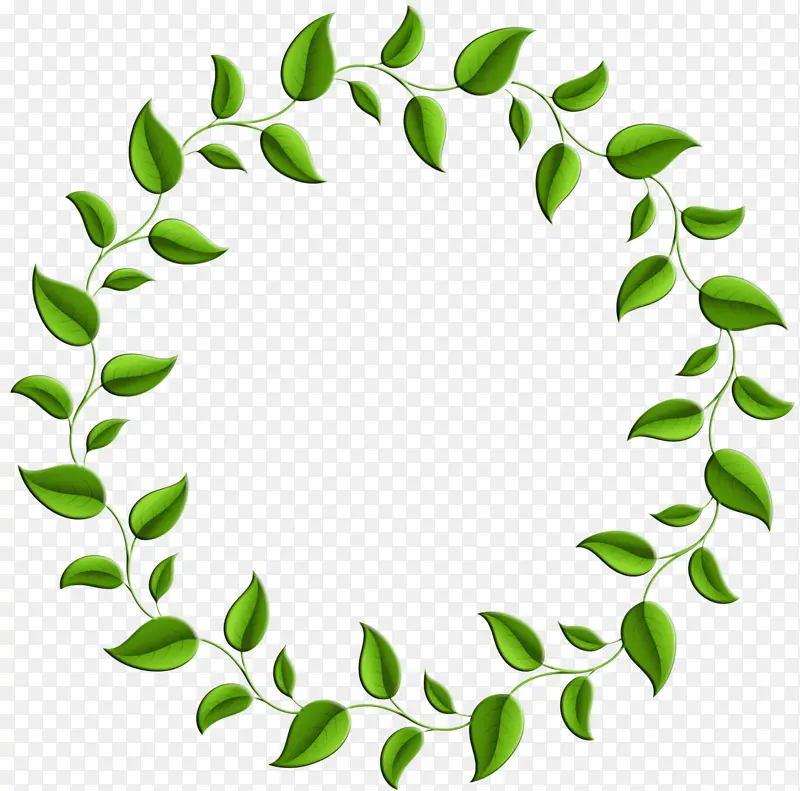 Ҷ�� ���� ˮ�ʻ�-������