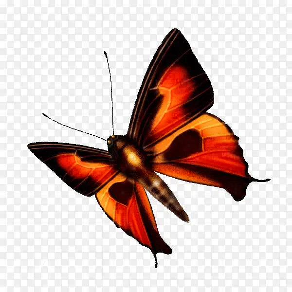 ���� ���� ����-������