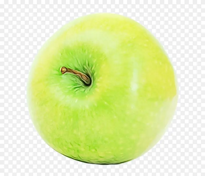 ƻ�� ˮ�� �߲�-������