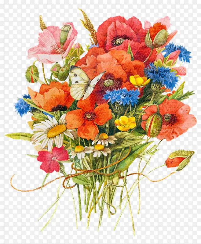 ���պؿ�-������