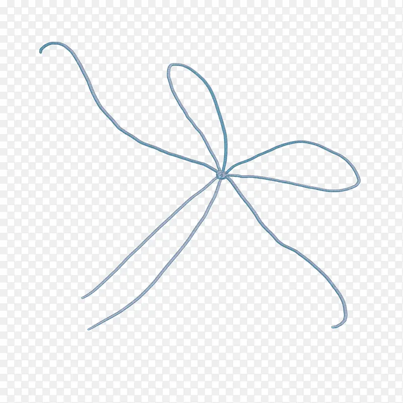 ���� �� ��-������