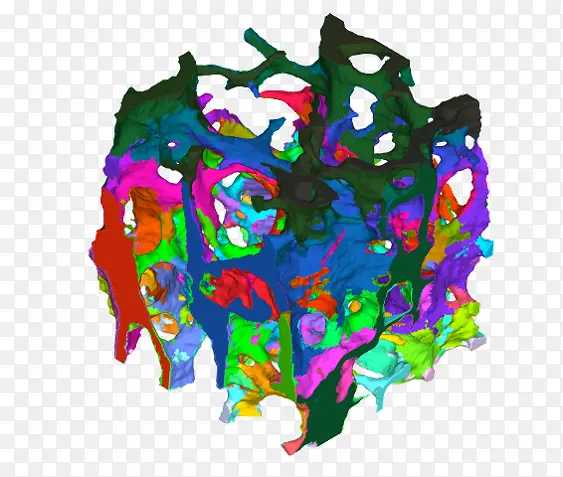 ��ѧ ֽ�� ����-������