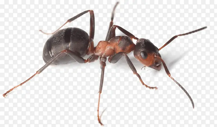 ���� �� �׶�������-������