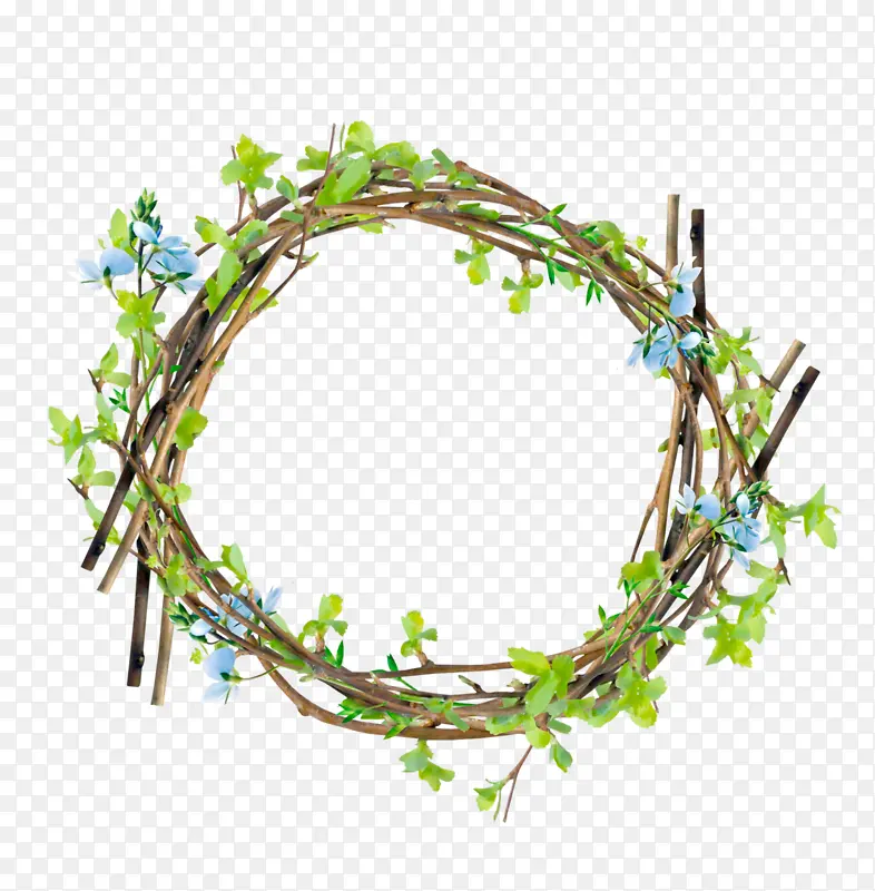 ��֦ ���� ֲ��-������